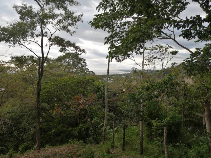 0 bed Lot/Land For Sale in , 